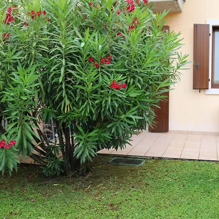 In Bardolino/gardasee 21881 Apartment *